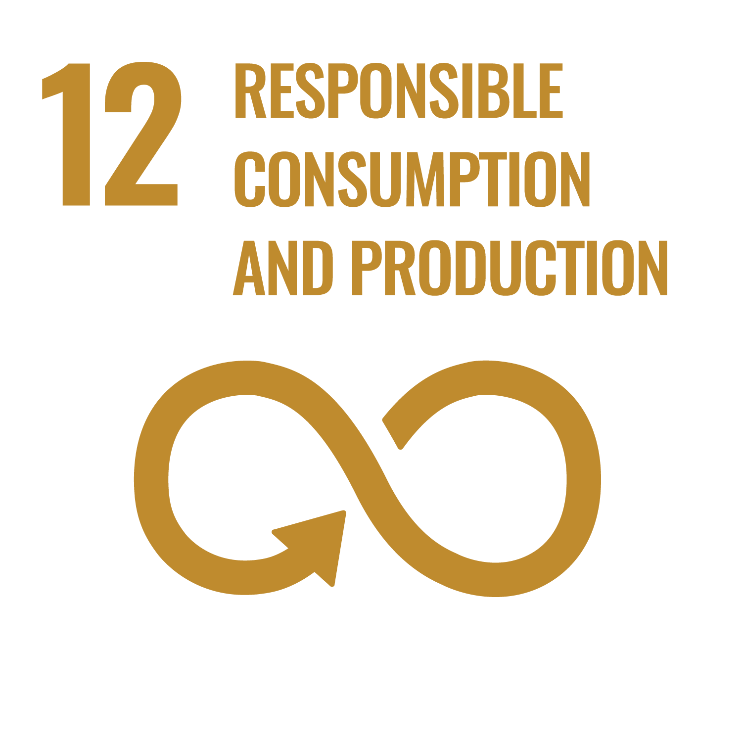 UN Sustainability Goals 12 responsible consumption and production