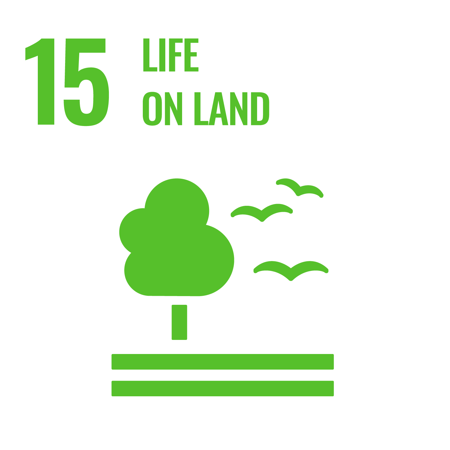 UN Sustainability Goals 15 life on land