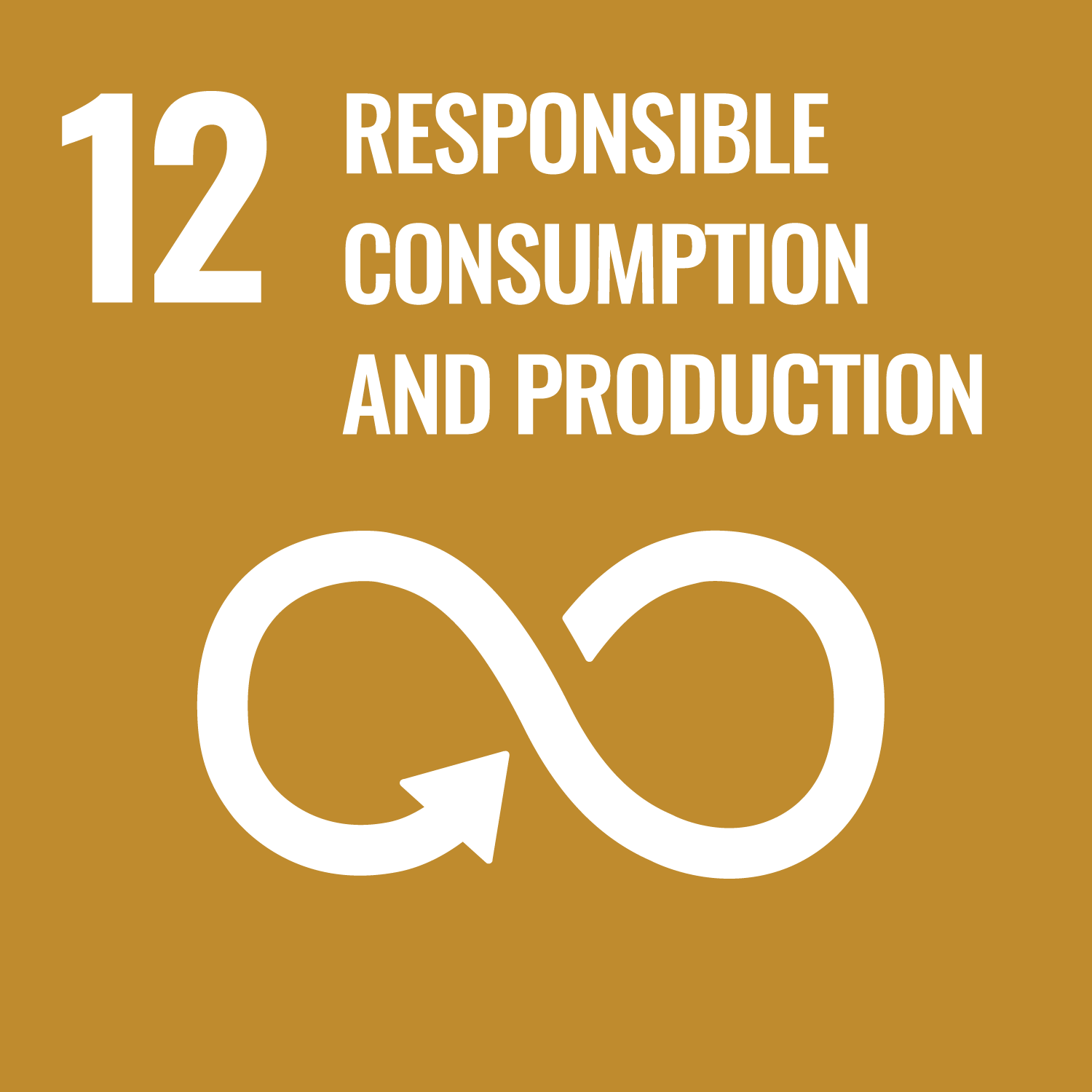 UN Sustainability Goals 12 icon