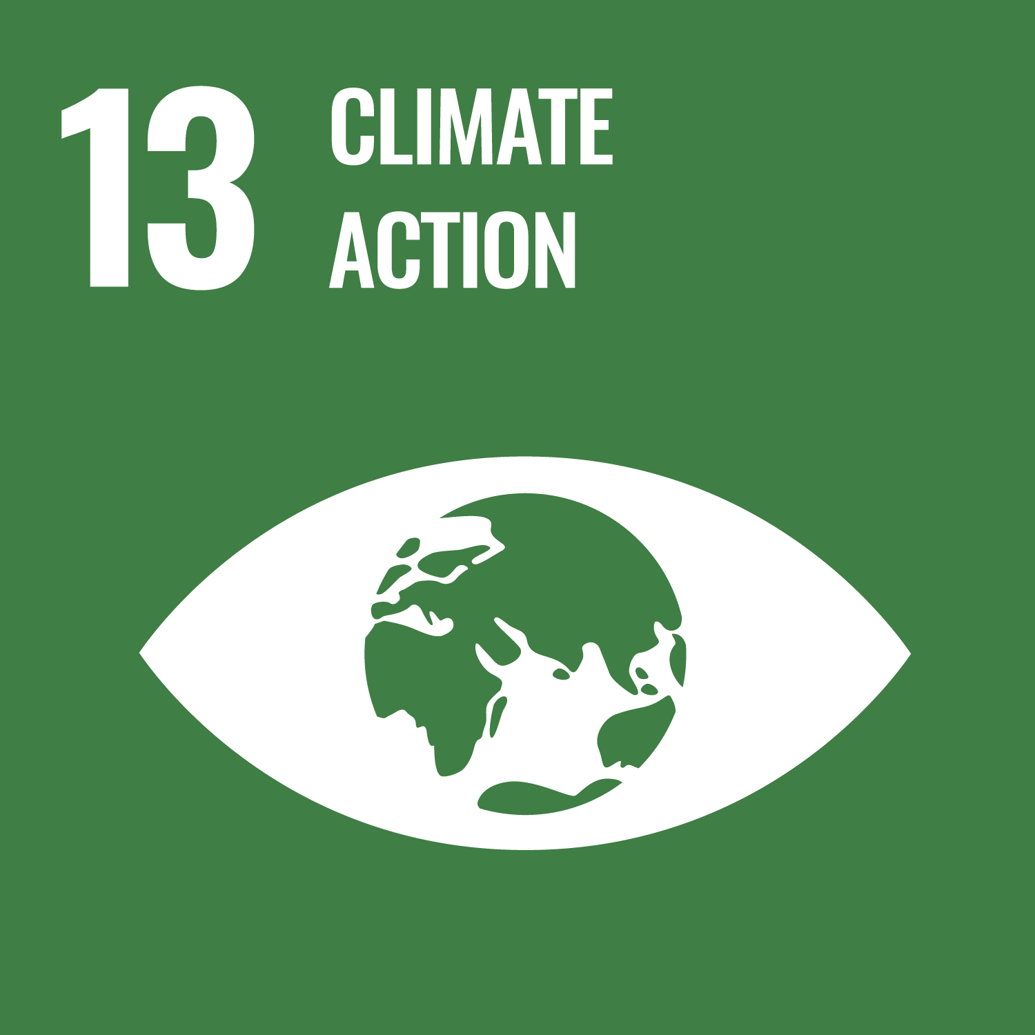 UN Sustainability Goals 13 icon