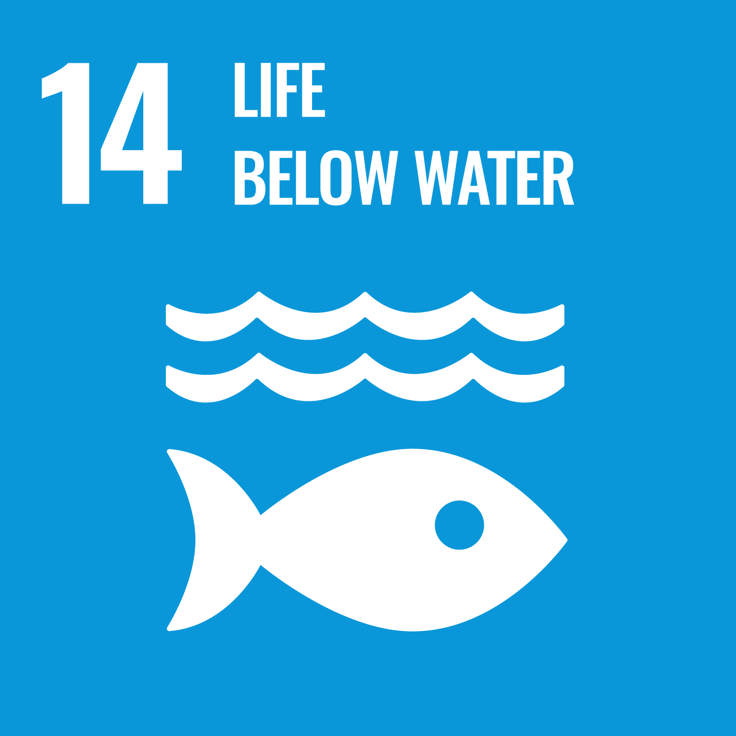 UN Sustainability Goals 14 icon